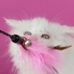 Benutzerprofilbild