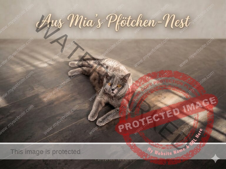 Gemini Generated Image 1hbdnc1hbdnc1hbd 768x576